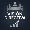 Vision Directiva pd